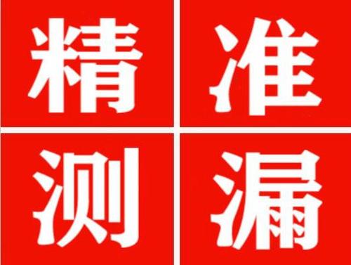 西和尚嘉漏水精准查找