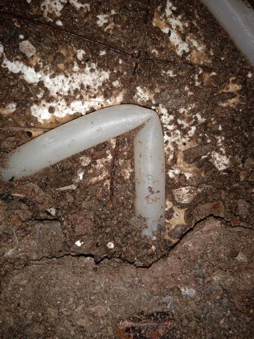 西和堵点精准查找